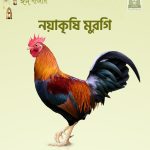 Nayakrishi Chicken (নয়াকৃষি মুরগি)550-600±