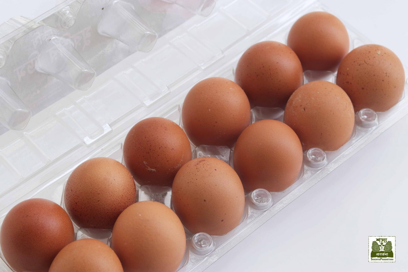 Meat, Fish & Eggs Shashya Prabartana