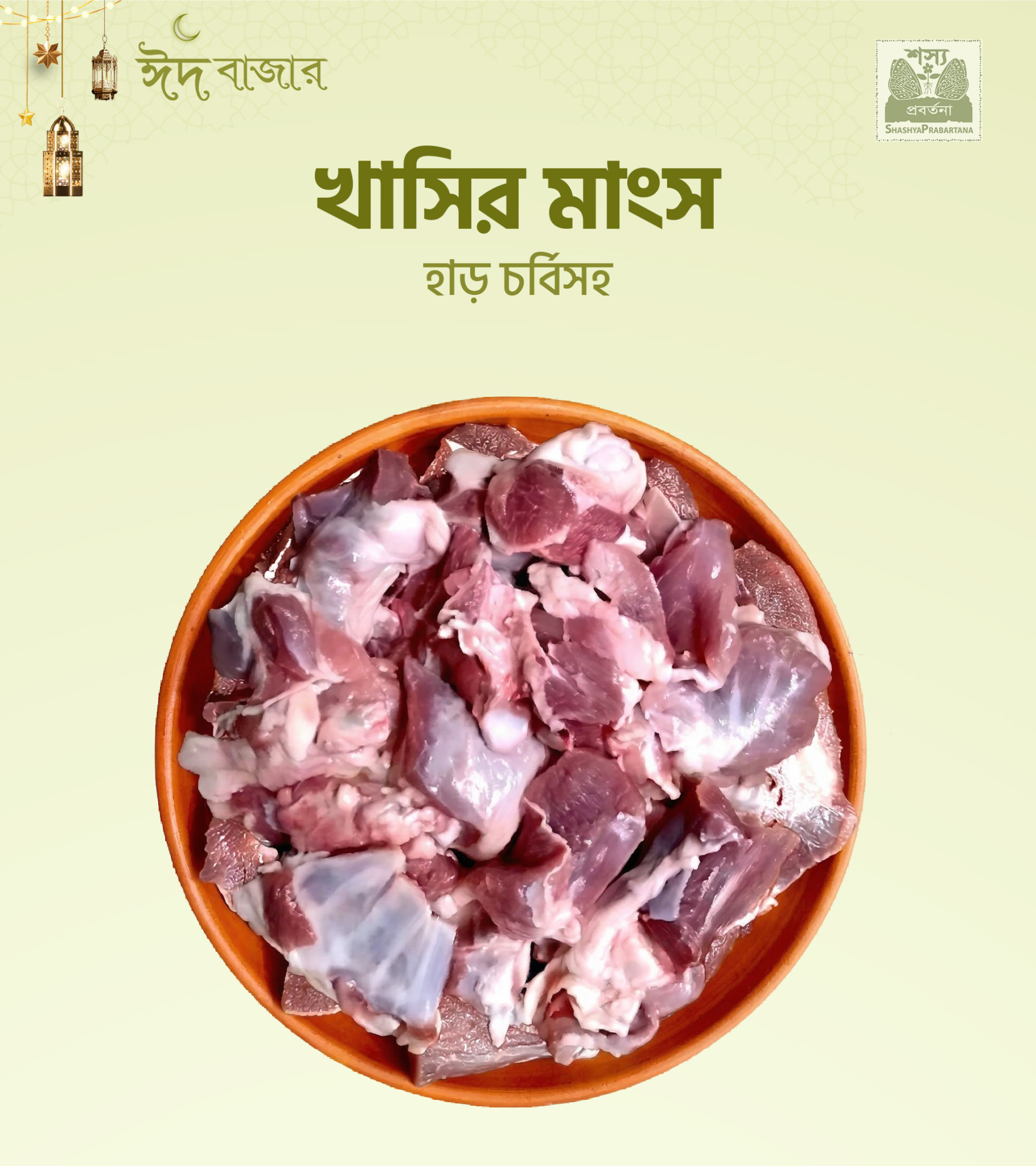 Gemini_Generated_Image_reqytireqytireqy