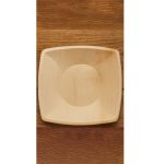 10 Inch Square Plate - 6 pcs