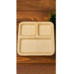 10 Inch Partition Plate- 6 PCS